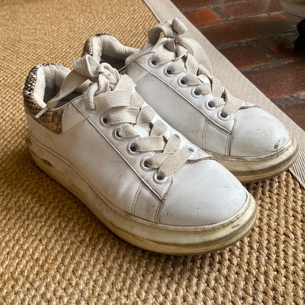 Steve Madden sneakers